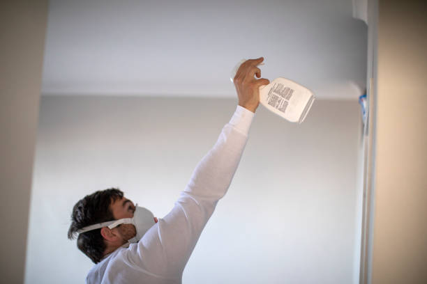 Best Professional Mold Removal  in Winters, CA